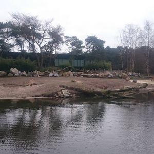 Sitatunga - Nile lechwe and Hippo enclosure