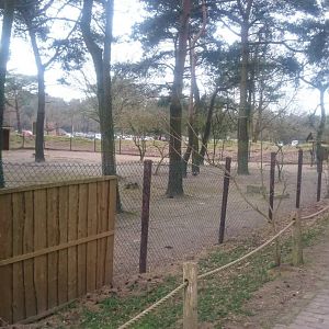 Rhen and Guanaco enclosure