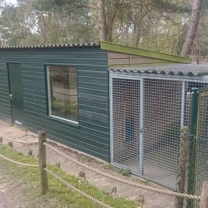 Squirrel monkey indoor enclosures