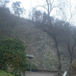 Himalayan thar enclosure