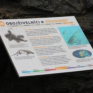 Info-sign fossils