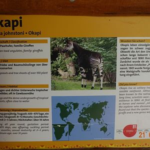 Okapi 21.4.16