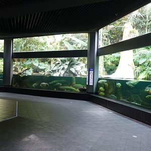 Berlin Zoo Aquarium 24.4.16