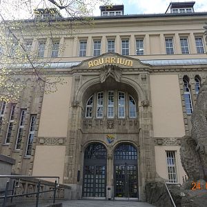 Berlin Zoo Aquarium 24.4.16