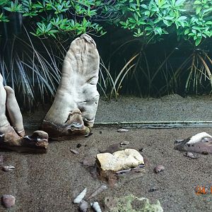 Berlin Zoo Aquarium 24.4.16