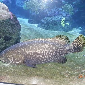 Berlin Zoo Aquarium 24.4.16