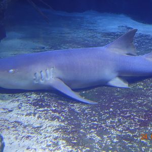 Berlin Zoo Aquarium 24.4.16