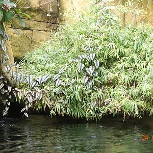Berlin Zoo Aquarium 24.4.16