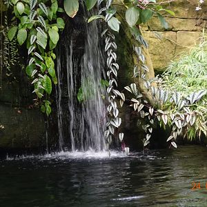 Berlin Zoo Aquarium 24.4.16