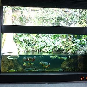 Berlin Zoo Aquarium 24.4.16