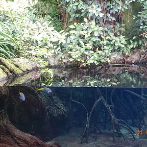 Berlin Zoo Aquarium 24.4.16