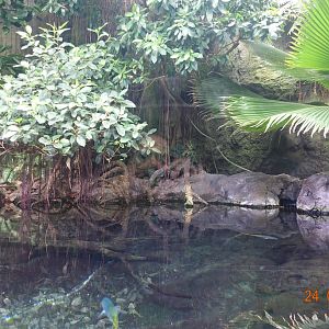 Berlin Zoo Aquarium 24.4.16