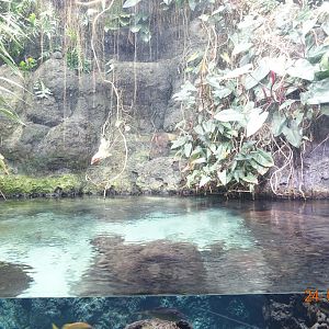 Berlin Zoo Aquarium 24.4.16