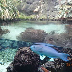 Berlin Zoo Aquarium 24.4.16