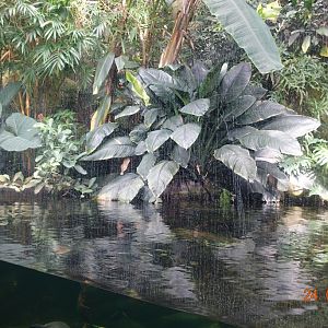 Berlin Zoo Aquarium 24.4.16