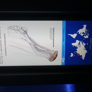 Berlin Zoo Aquarium 24.4.16