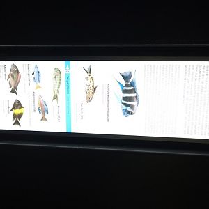 Berlin Zoo Aquarium 24.4.16