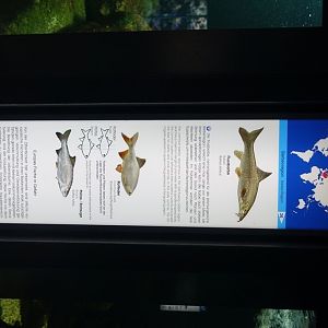 Berlin Zoo Aquarium 24.4.16