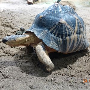 Berlin Zoo Aquarium 24.4.16