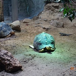 Berlin Zoo Aquarium 24.4.16