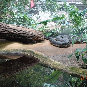 Berlin Zoo Aquarium 24.4.16