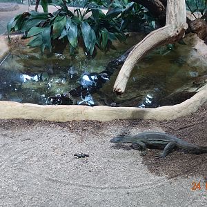 Berlin Zoo Aquarium 24.4.16