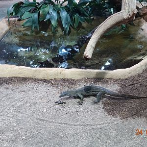 Berlin Zoo Aquarium 24.4.16