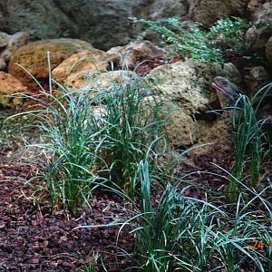 Berlin Zoo Aquarium 24.4.16