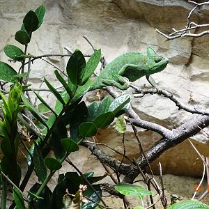 Berlin Zoo Aquarium 24.4.16