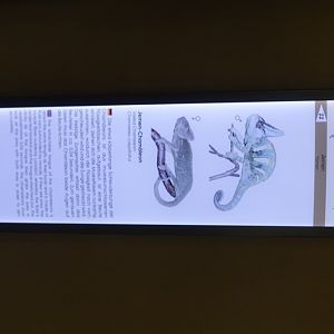 Berlin Zoo Aquarium 24.4.16