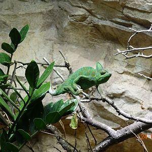 Berlin Zoo Aquarium 24.4.16