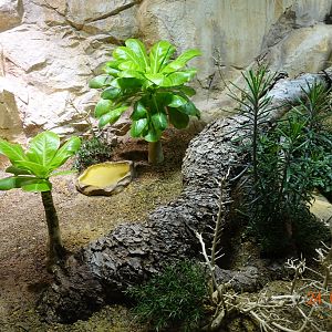 Berlin Zoo Aquarium 24.4.16