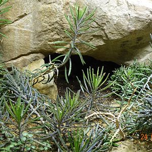 Berlin Zoo Aquarium 24.4.16