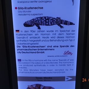 Berlin Zoo Aquarium 24.4.16