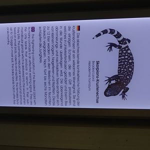 Berlin Zoo Aquarium 24.4.16