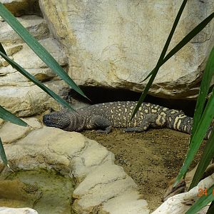 Berlin Zoo Aquarium 24.4.16