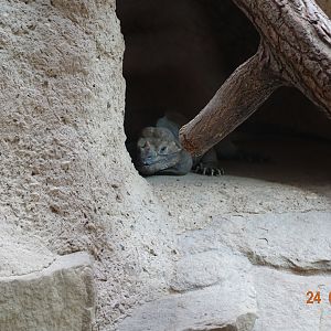 Berlin Zoo Aquarium 24.4.16