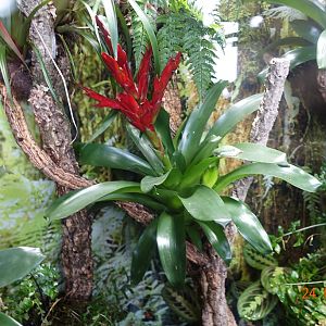 Berlin Zoo Aquarium 24.4.16