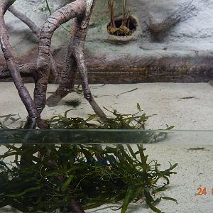 Berlin Zoo Aquarium 24.4.16