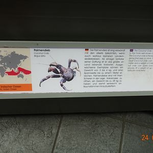 Berlin Zoo Aquarium 24.4.16