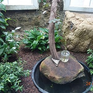 Berlin Zoo Aquarium 24.4.16