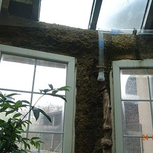 Berlin Zoo Aquarium 24.4.16