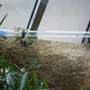 Berlin Zoo Aquarium 24.4.16