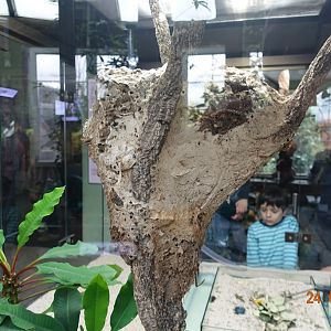 Berlin Zoo Aquarium 24.4.16