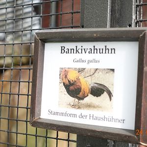 Berlin Zoo 24.4.16