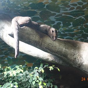 Berlin Zoo 24.4.16