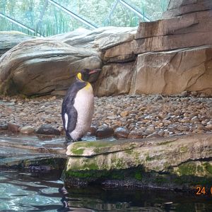 Berlin Zoo 24.4.16