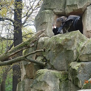 Berlin Zoo 24.4.16