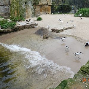 Berlin Zoo 24.4.16