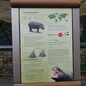 Berlin Zoo 24.4.16